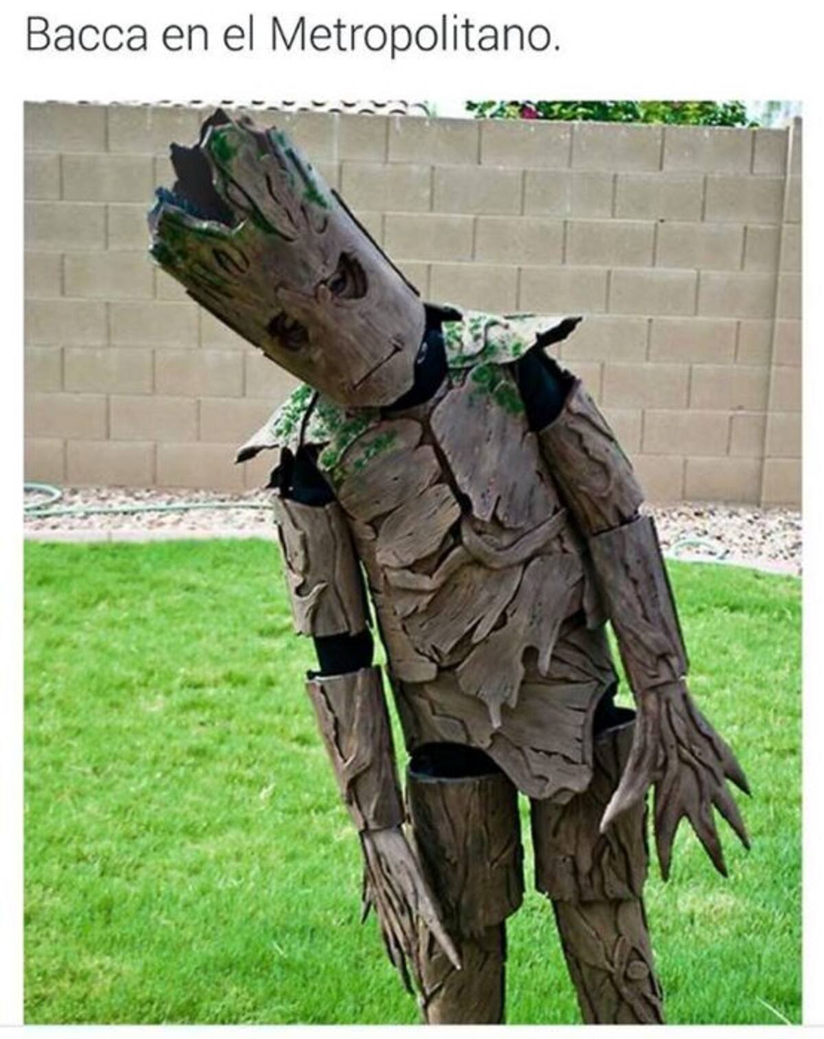 Los mejores memes de la victoria de Colombia ante Bolivia (Foto: Suministrada/VANGUARDIA LIBERAL)