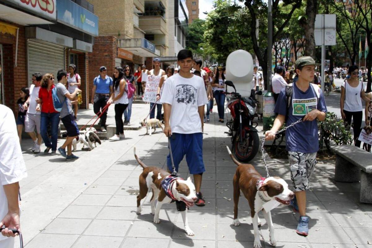45 ciudades en Colombia se sumaron a esta iniciativa. (Foto: Archivo /VANGUARDIA LIBERAL)