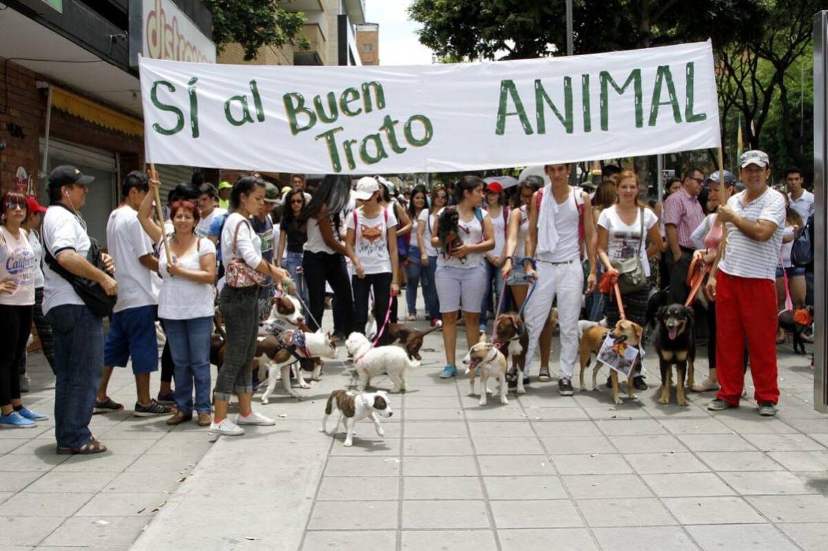 Con pancartas y leyendas, los ciudadanos quisieron expresar su incoformismo contra las flexibles leyes hacia los maltratadores de animales. (Foto: Archivo /VANGUARDIA LIBERAL)