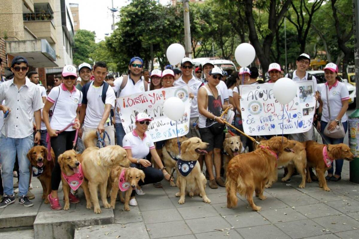 Los asistentes se visiteron de blanco. (Foto: Archivo /VANGUARDIA LIBERAL)