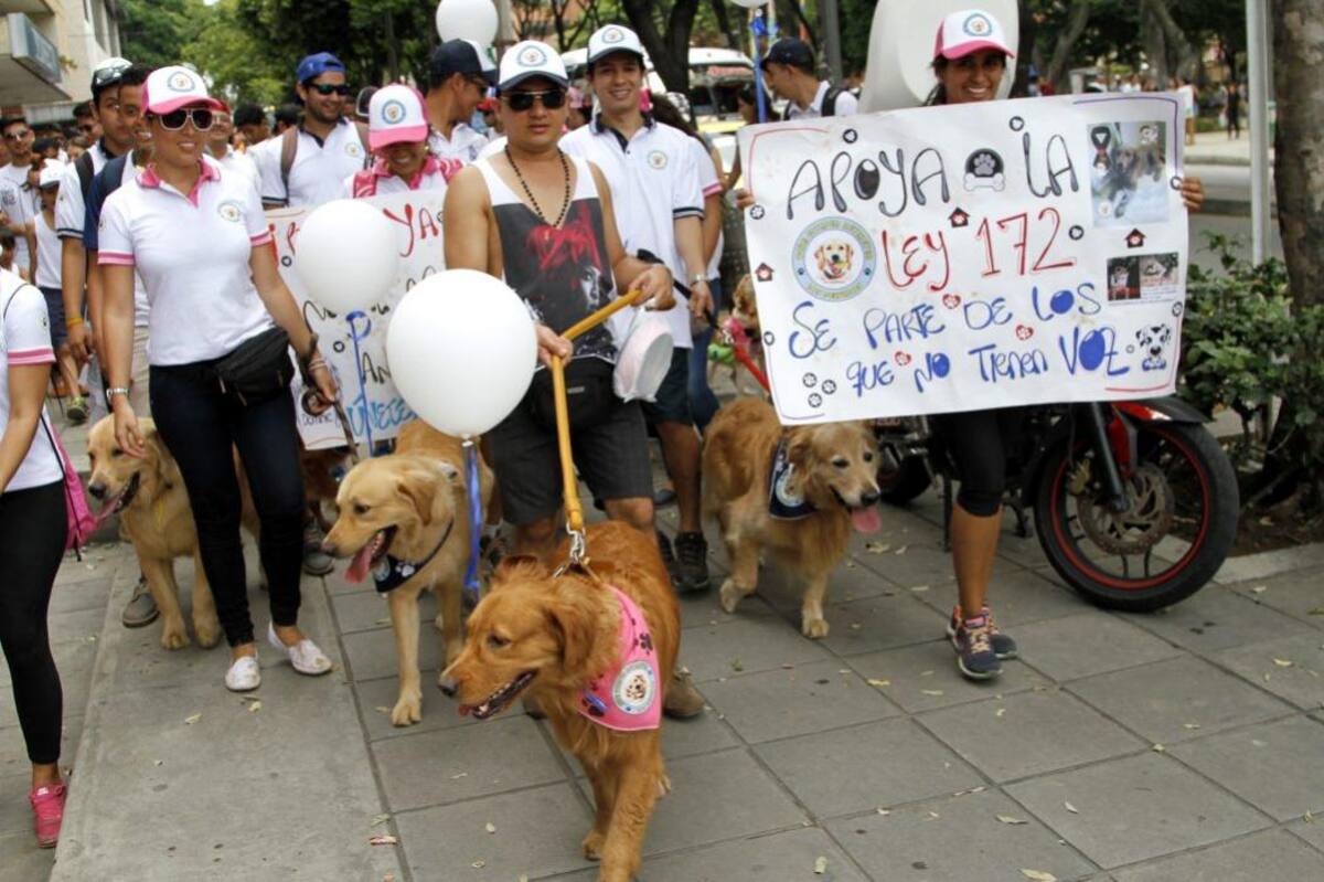 Niños, adolescentes, adultos y mascotas hicieron del platón una jornada exitosa. (Foto: Archivo /VANGUARDIA LIBERAL)