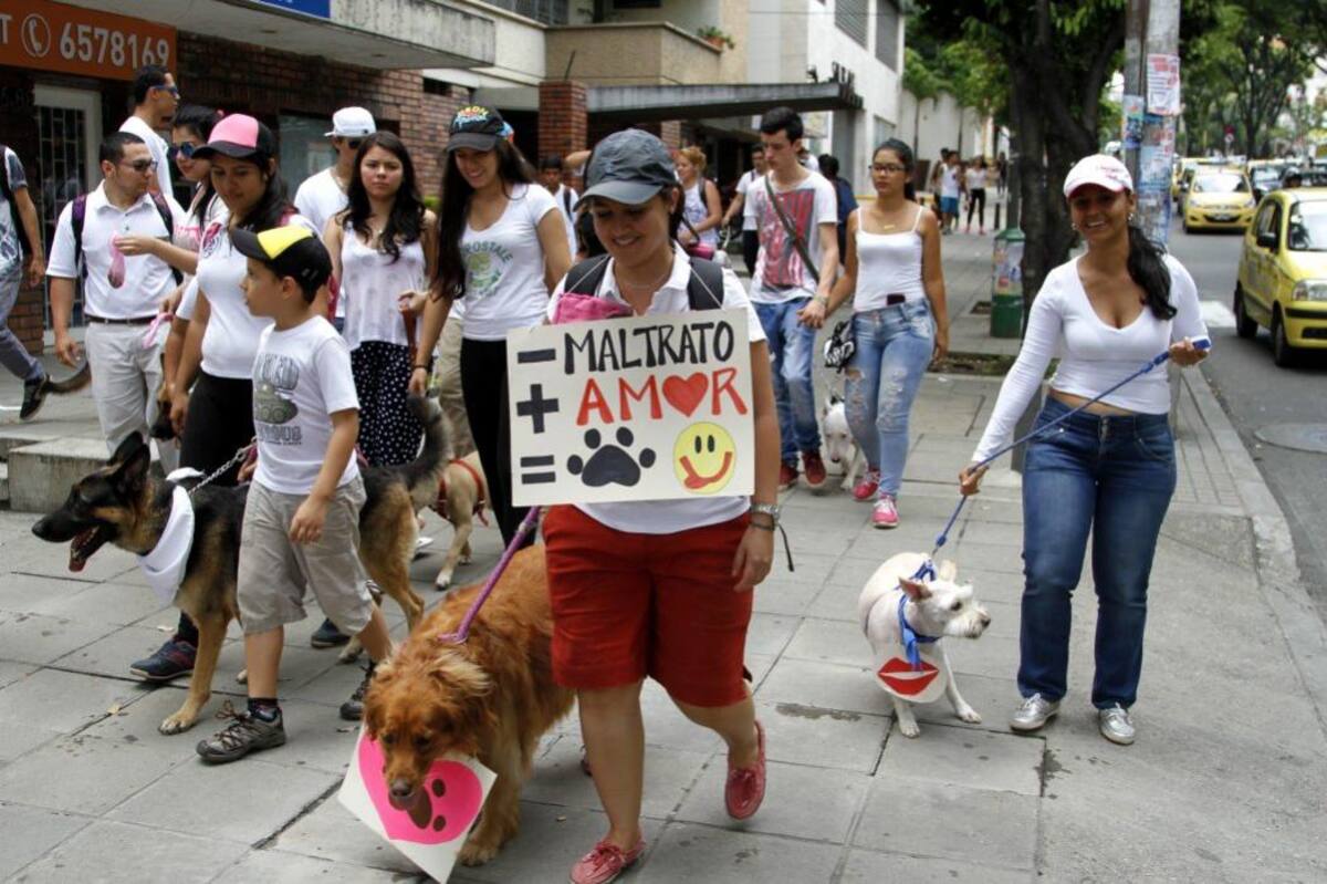 1500 personas participaron de la firmatón para agilizar el proyecto de ley 172. (Foto: Archivo /VANGUARDIA LIBERAL)
