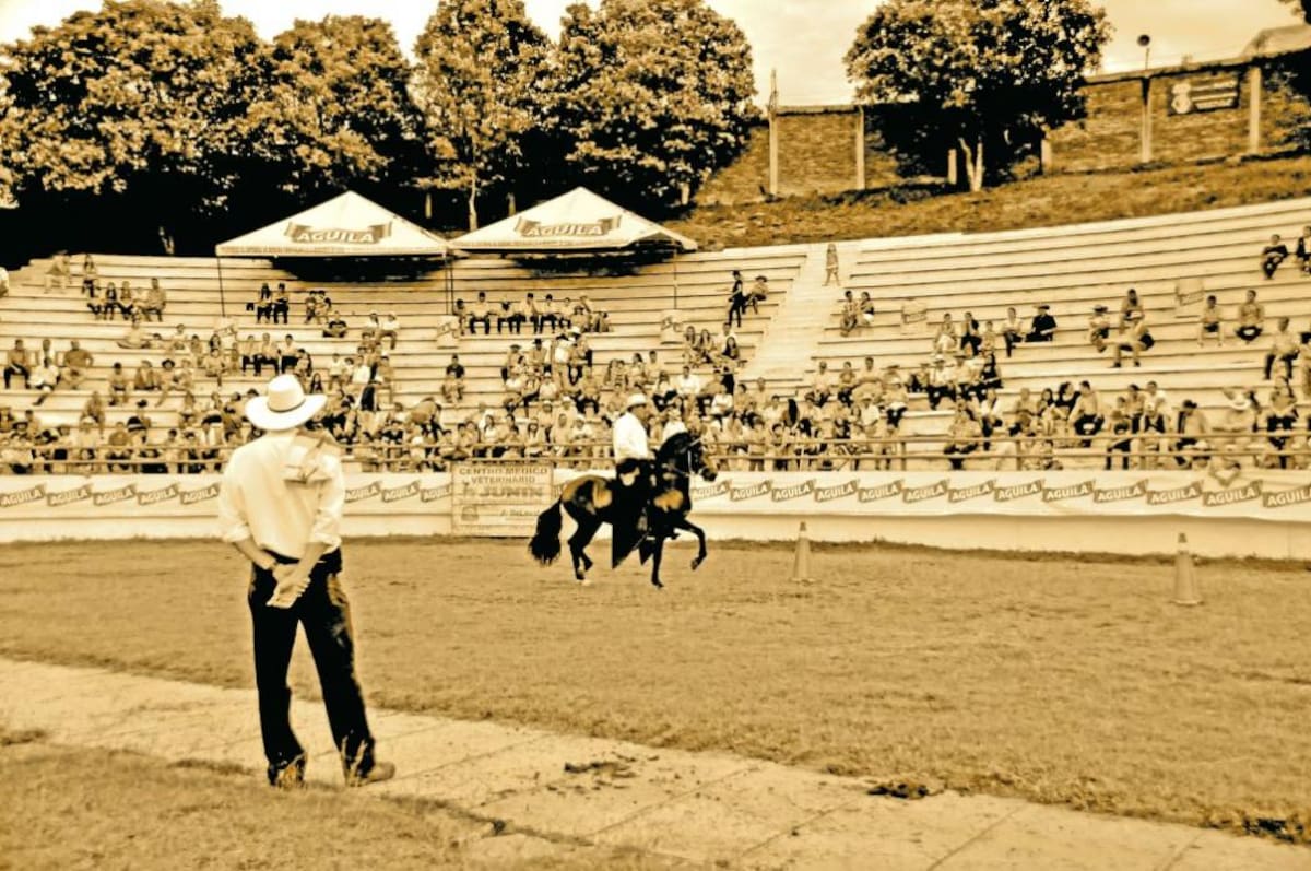 Feria ganadera del Socorro, la más antigua de Santander y la segunda del país (Foto: Suministrada/VANGUARDIA LIBERAL)