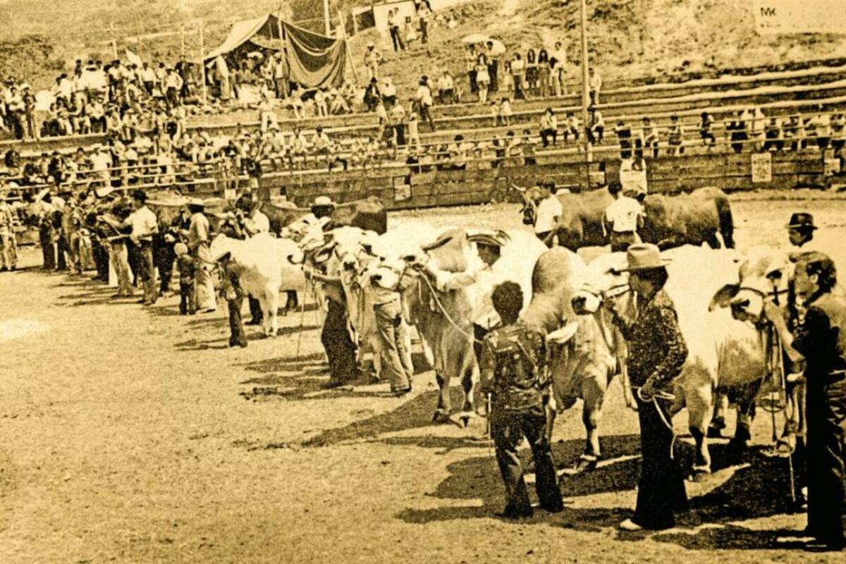 Feria ganadera del Socorro, la más antigua de Santander y la segunda del país (Foto: Suministrada/VANGUARDIA LIBERAL)