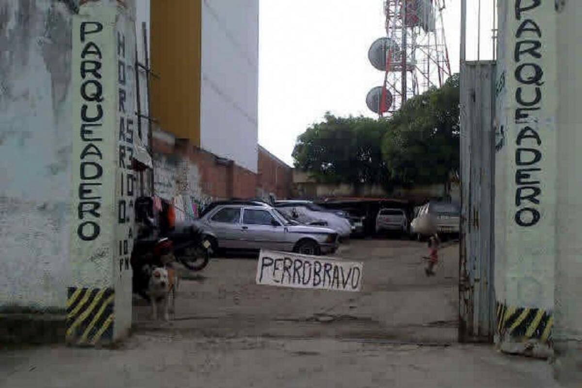 Por evitar robo, perro fue baleado en Bucaramanga (Foto: Foto Suministrada/VANGUARDIA LIBERAL)