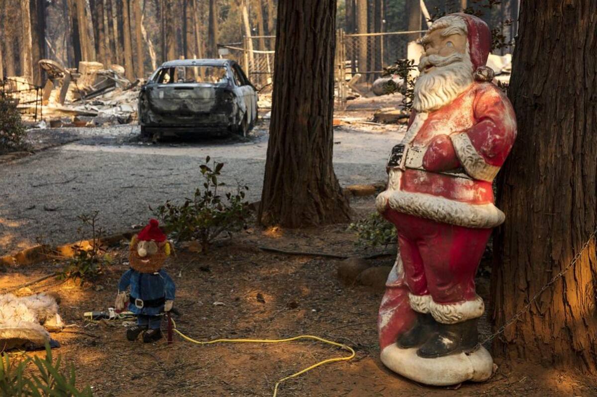 En imágenes, el desastre en California tras incendios forestales (Foto: EFE / VANGUARDIA LIBERAL)