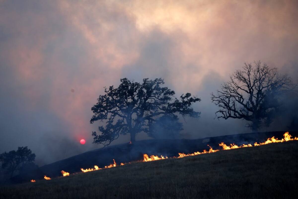 En imágenes, el desastre en California tras incendios forestales (Foto: EFE / VANGUARDIA LIBERAL)