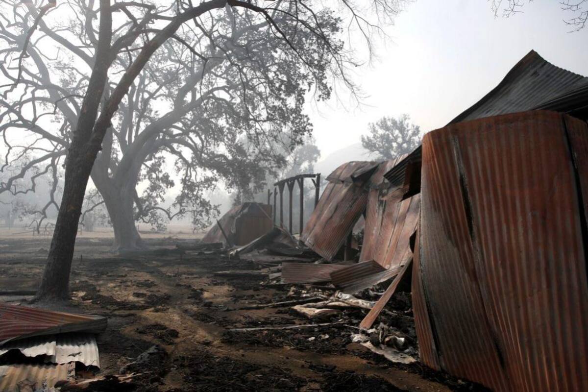 En imágenes, el desastre en California tras incendios forestales (Foto: EFE / VANGUARDIA LIBERAL)