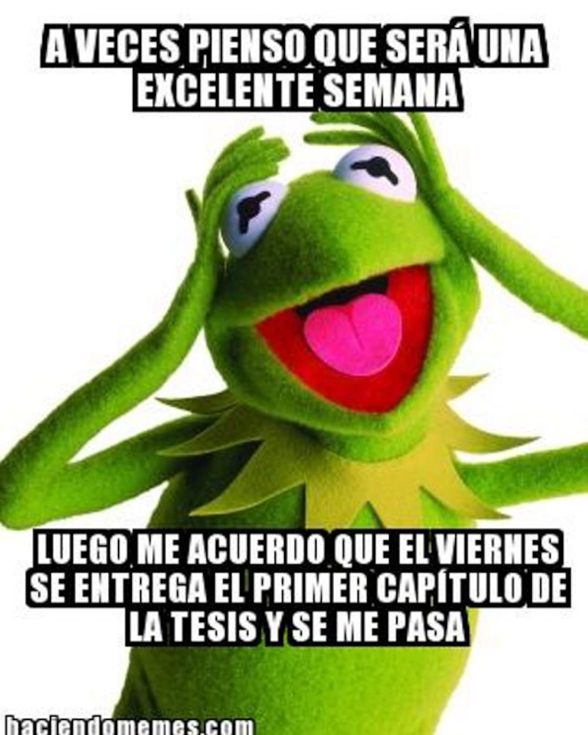 Las Rana Rene Memes Los memes que convirtieron a la rana René en contenido viral de redes