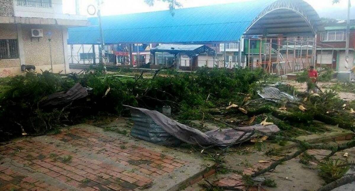 Fuerte vendaval destruyó viviendas y árbol insignia de Landázuri (Foto: Suministrada/ VANGUARDIA LIBERAL)