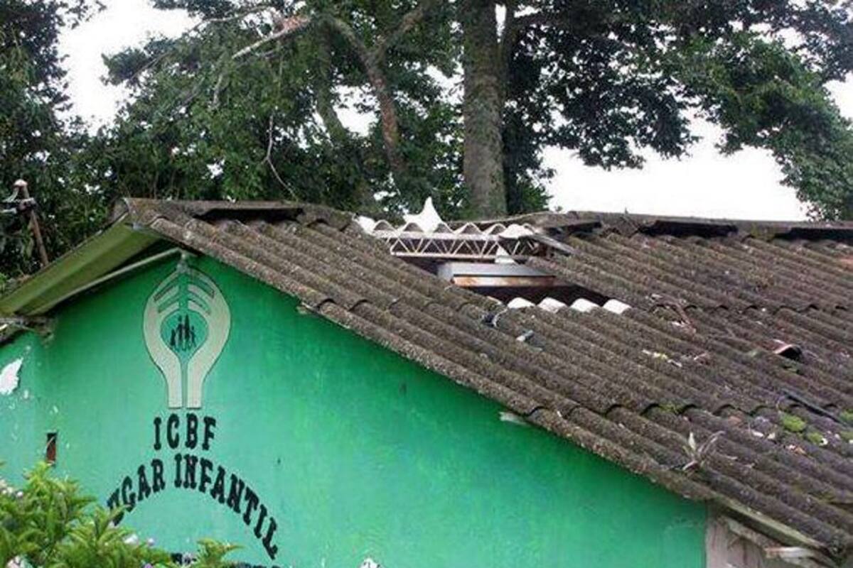 Fuerte vendaval afectó viviendas y árbol insignia de Landázuri (Foto: Suministrada/ VANGUARDIA LIBERAL)