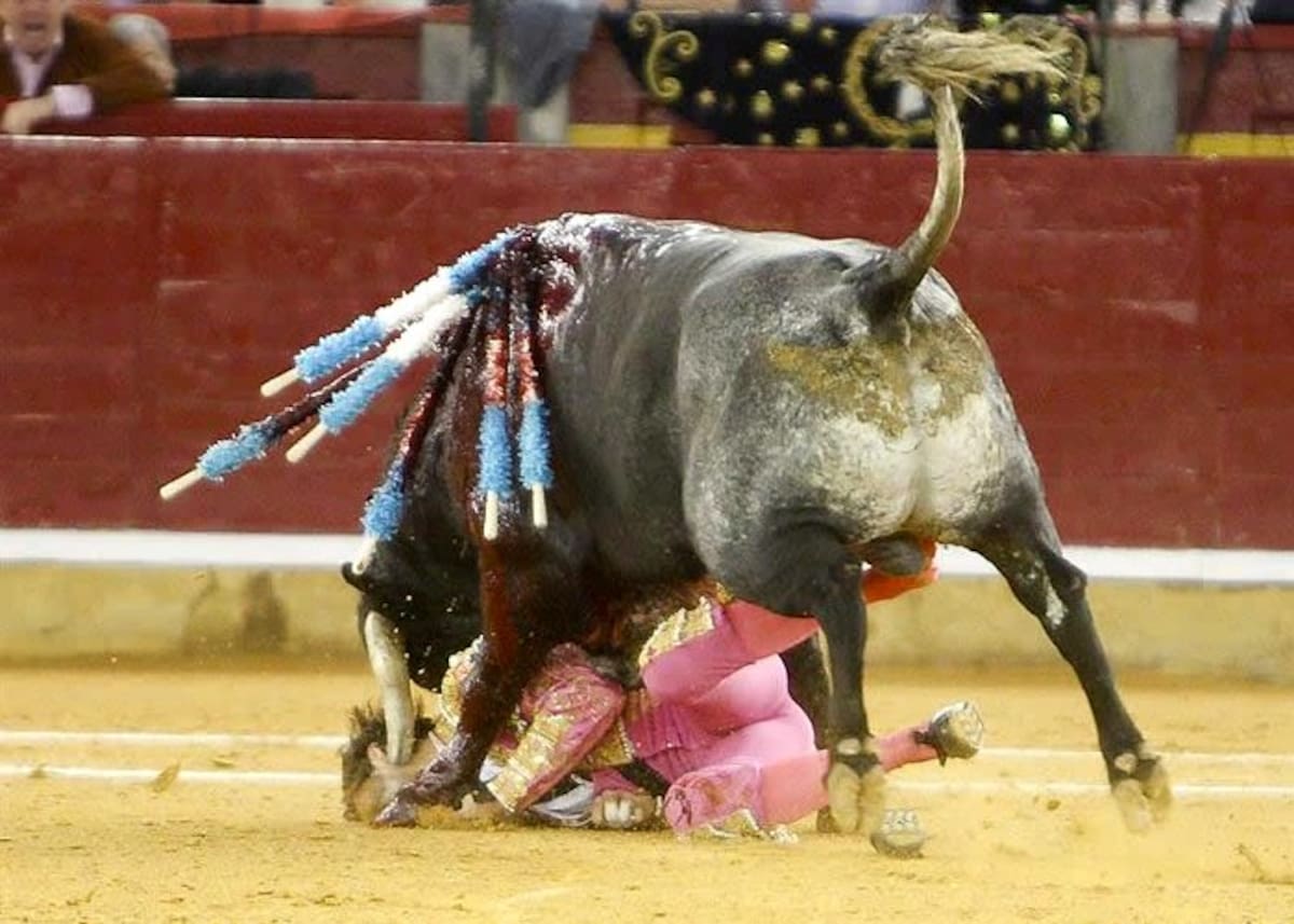El toro hundió su pitón izquierdo en la cara del torero cuando este salía de un par de banderillas. (Foto: EFE/ Vanguardia Liberal)
