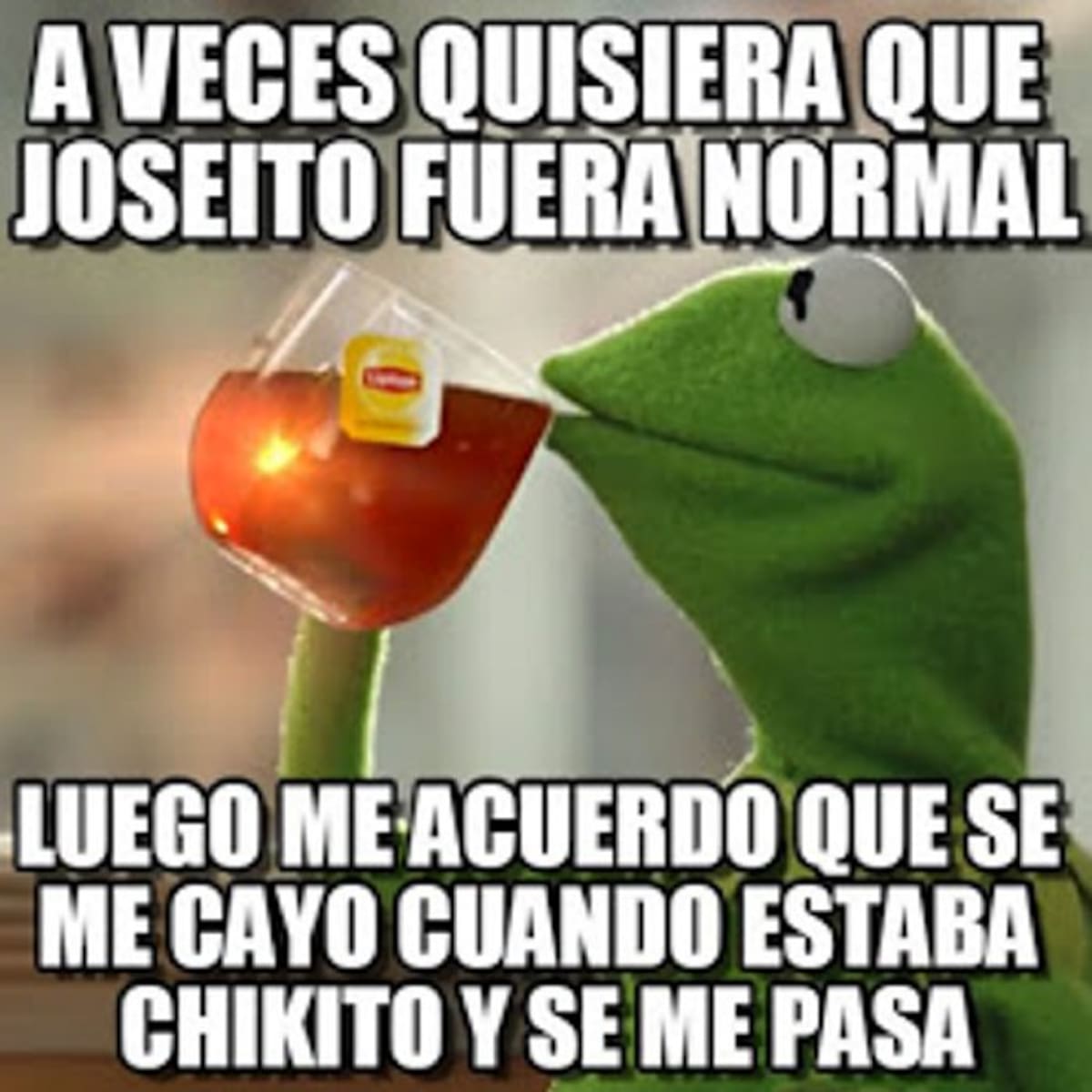 Las Rana Rene Memes Los memes que convirtieron a la rana René en contenido viral de redes