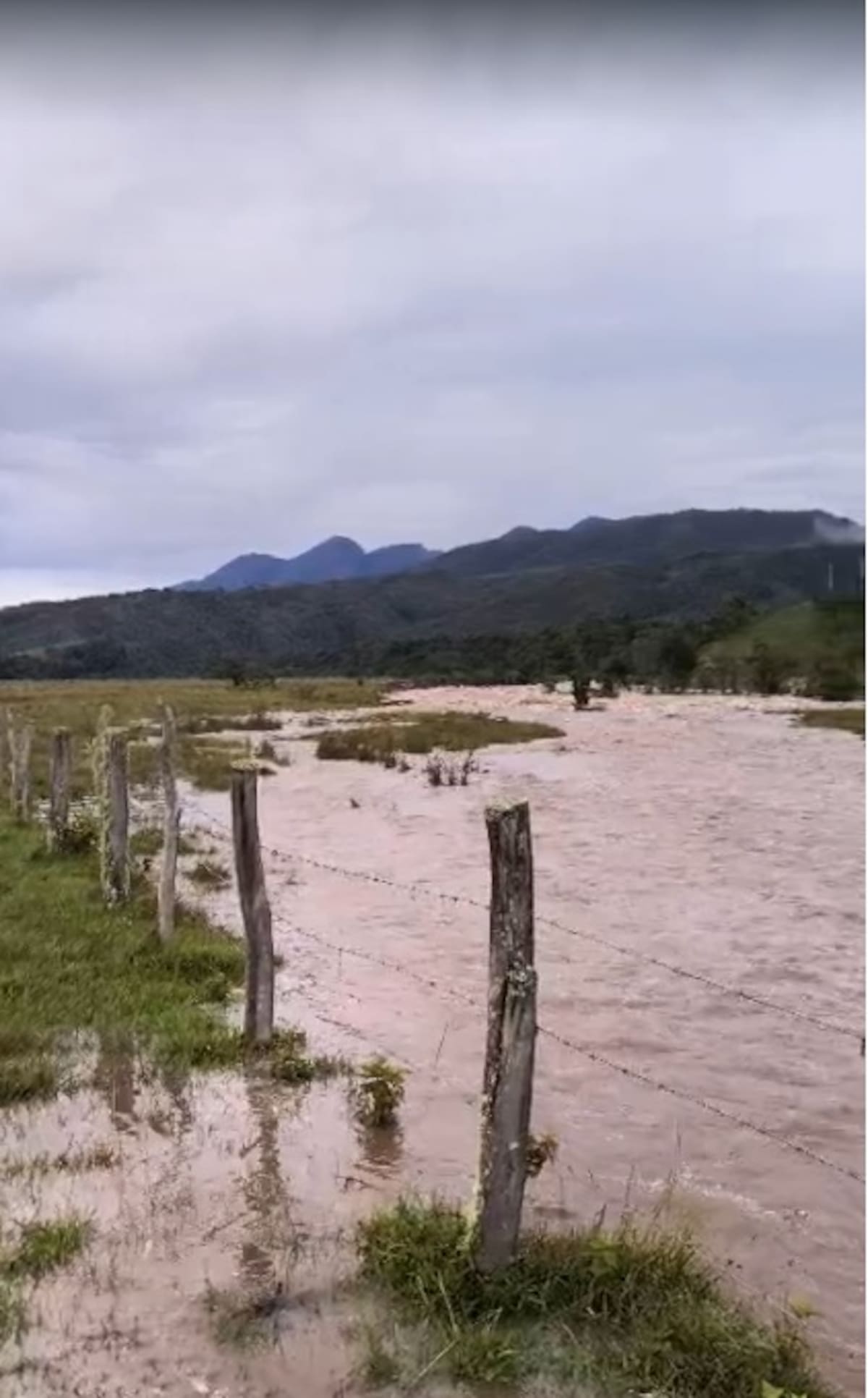 En Gámbita el río Ubasa inunda la vía del corregimiento La Palma y los potreros destinados a la ganadería.