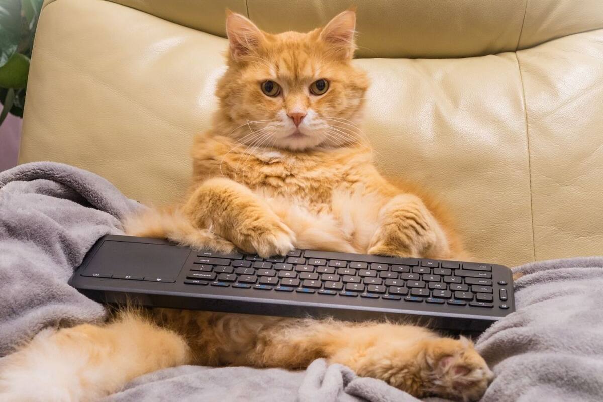 Foto tomada de redes sociales/VANGUARDIA