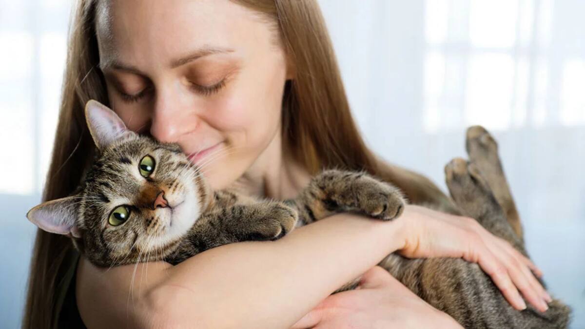 Un macroestudio científico revela que tener gato en casa no empeora el asma infantil ni provoca más visitas a urgencias.