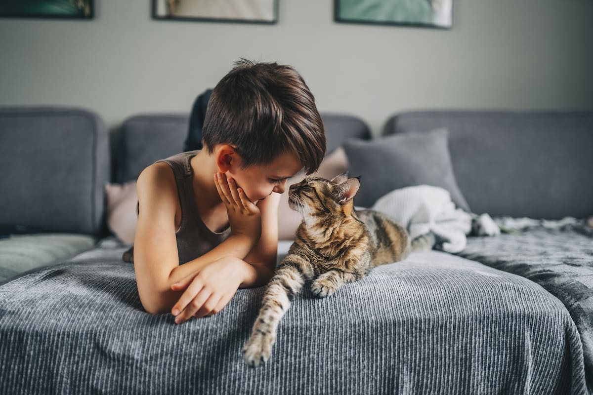 ¿Hijos con asma y miedo a los gatos? La ciencia acaba de desmontar uno de los mayores mitos de la salud pediátrica.