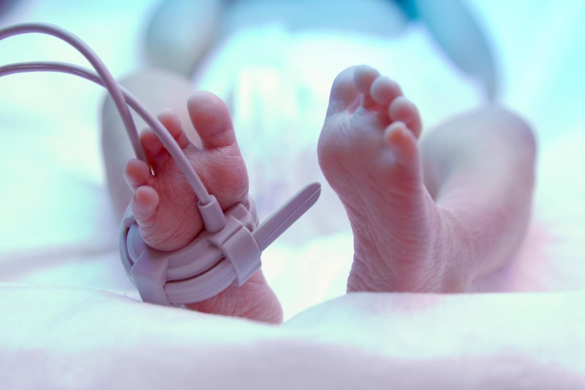 Archivo / VANGUARDIA