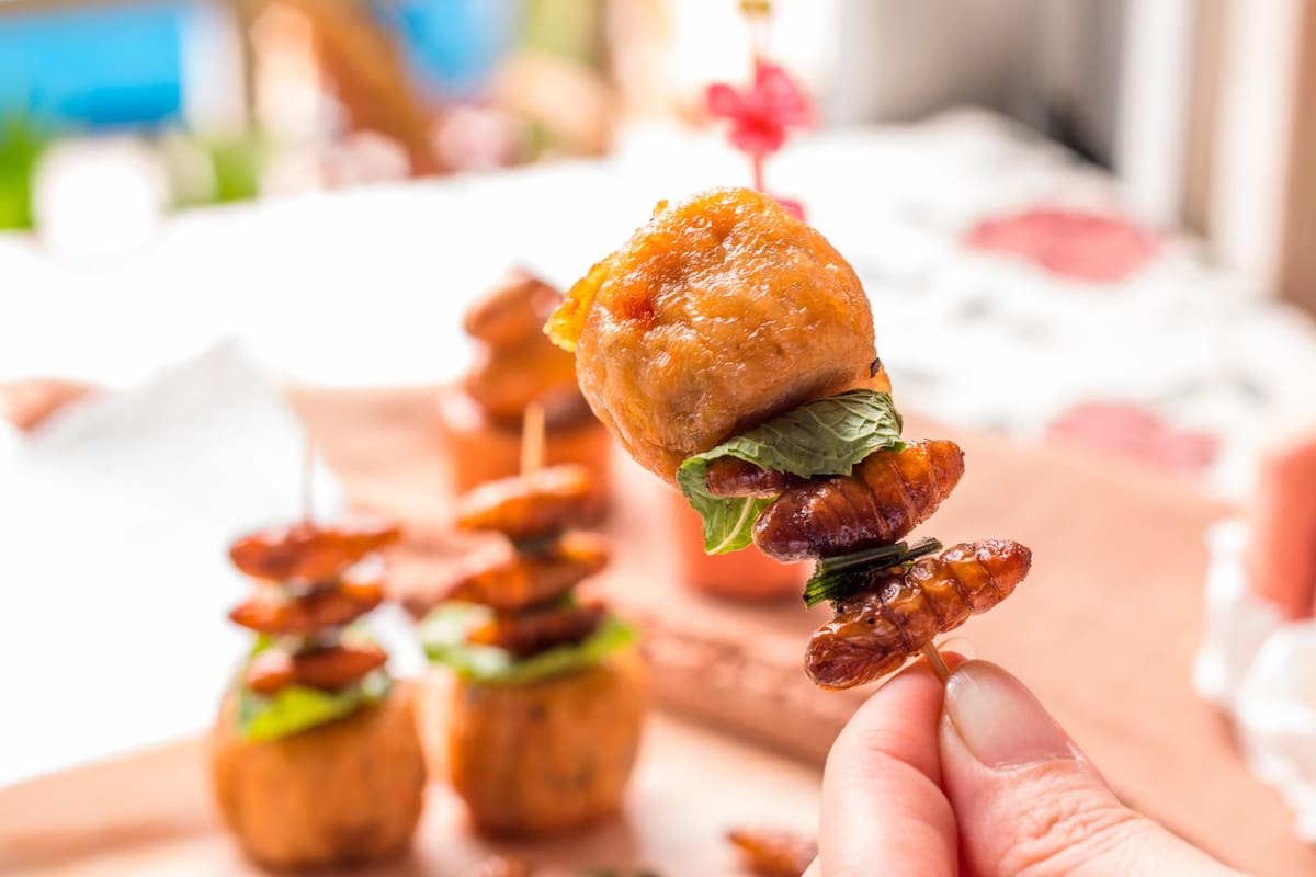 Los seres humanos han utilizado la modificación genética durante años, pero gracias a nuevas herramientas como Crispr, se podrán crear cultivos genéticamente modificados que sean tolerantes a la sequía, a prueba de enfermedades. Foto: Getty/VANGUARDIA