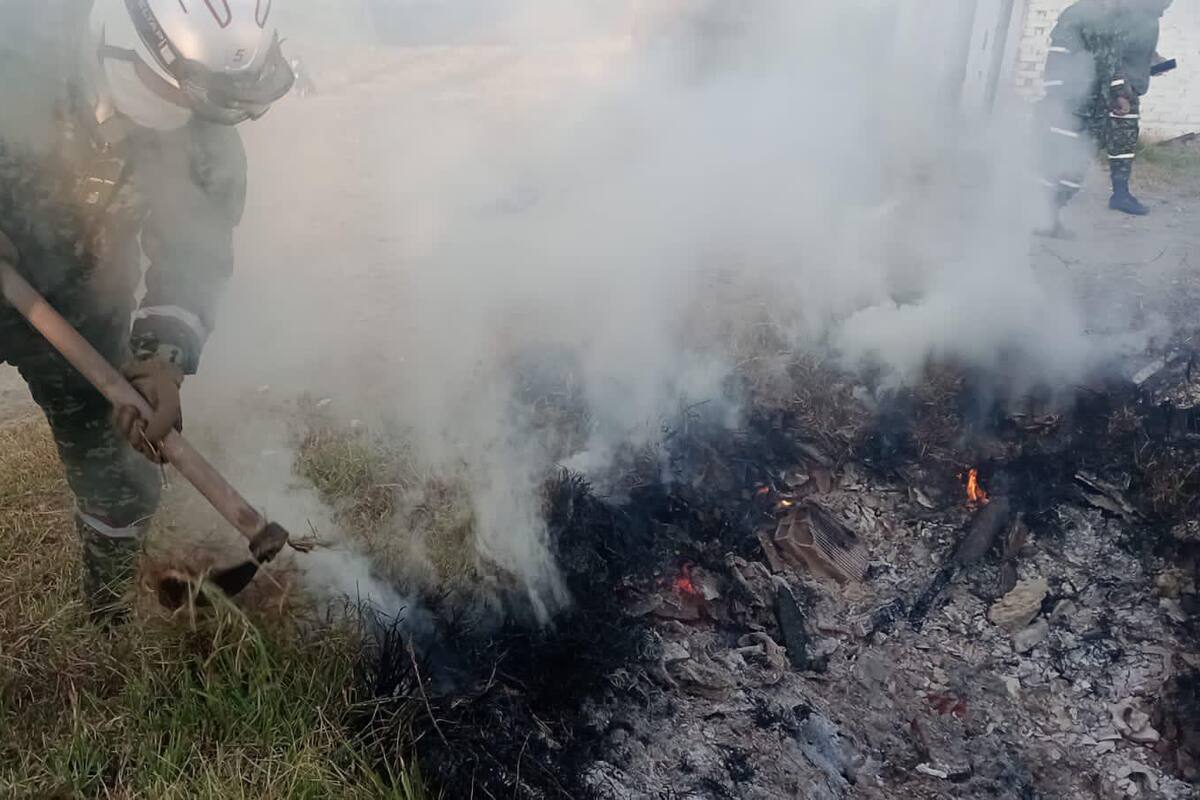 ¿Por qué aún no es momento de restaurar y sembrar árboles en zonas de incendios forestales? Cortesía Mindefensa / VANGUARDIA