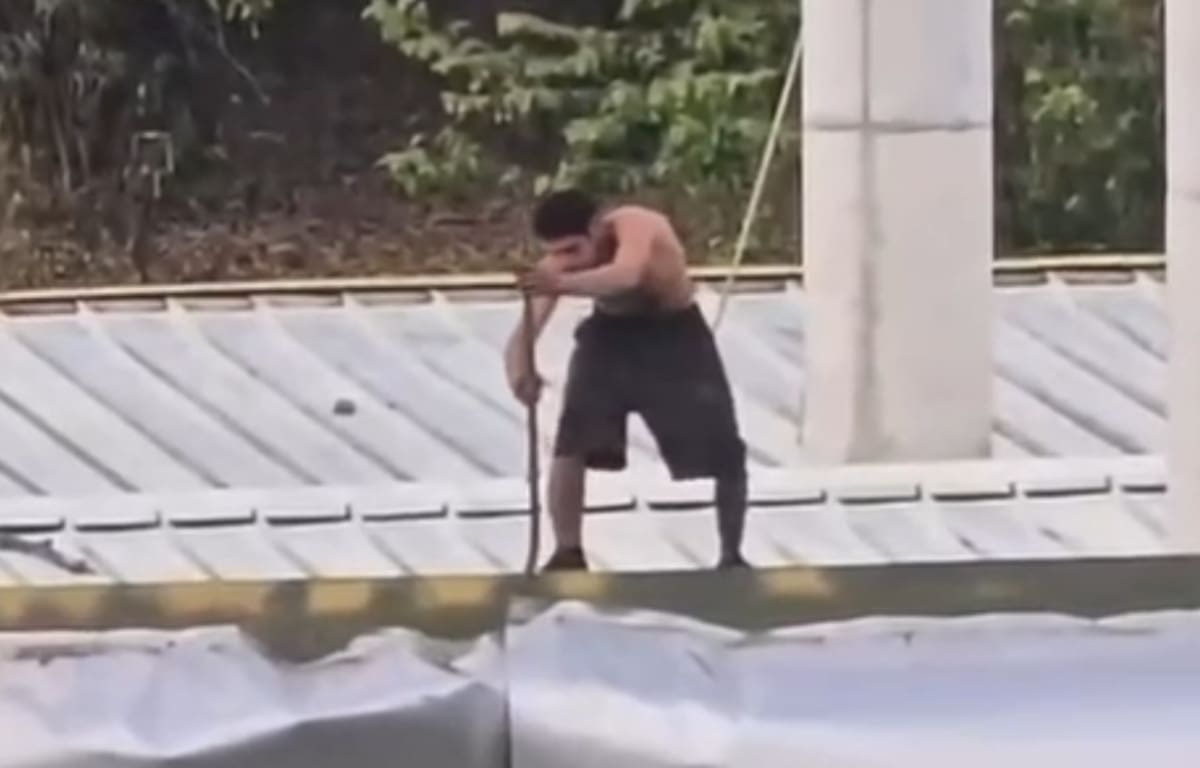 Video captó presunto vandalismo en el Portal de Girón de Metrolínea: hombre habría robado piezas metálicas.
