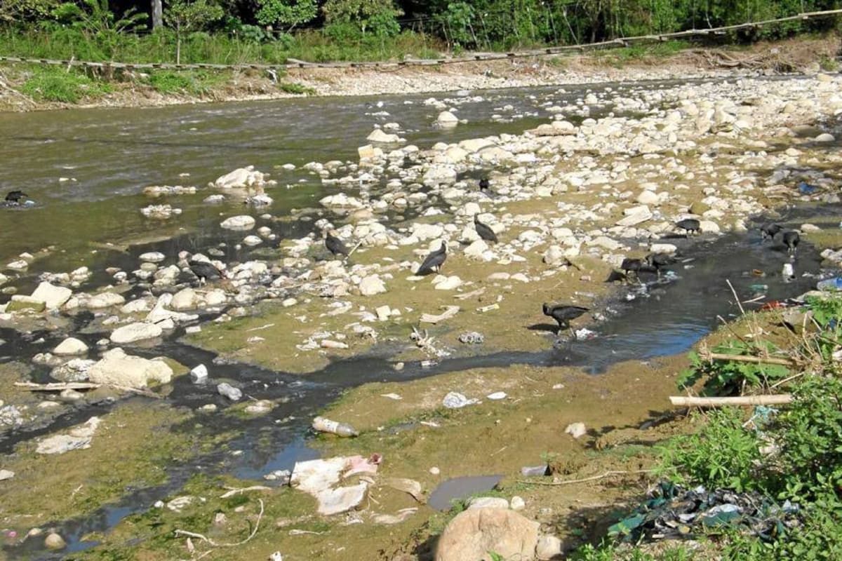 El Río de Oro es uno de los afluentes más contaminados de Colombia. Por eso, la autoridad ambiental emprendió varios operativos de control y de saneamiento en dicha fuente hídrica.