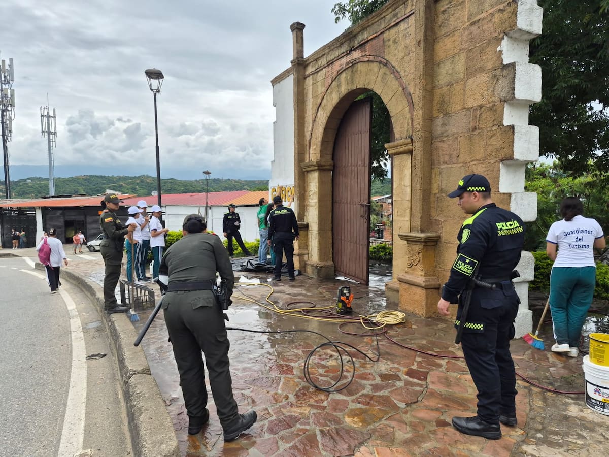 Suministrada/Vanguardia