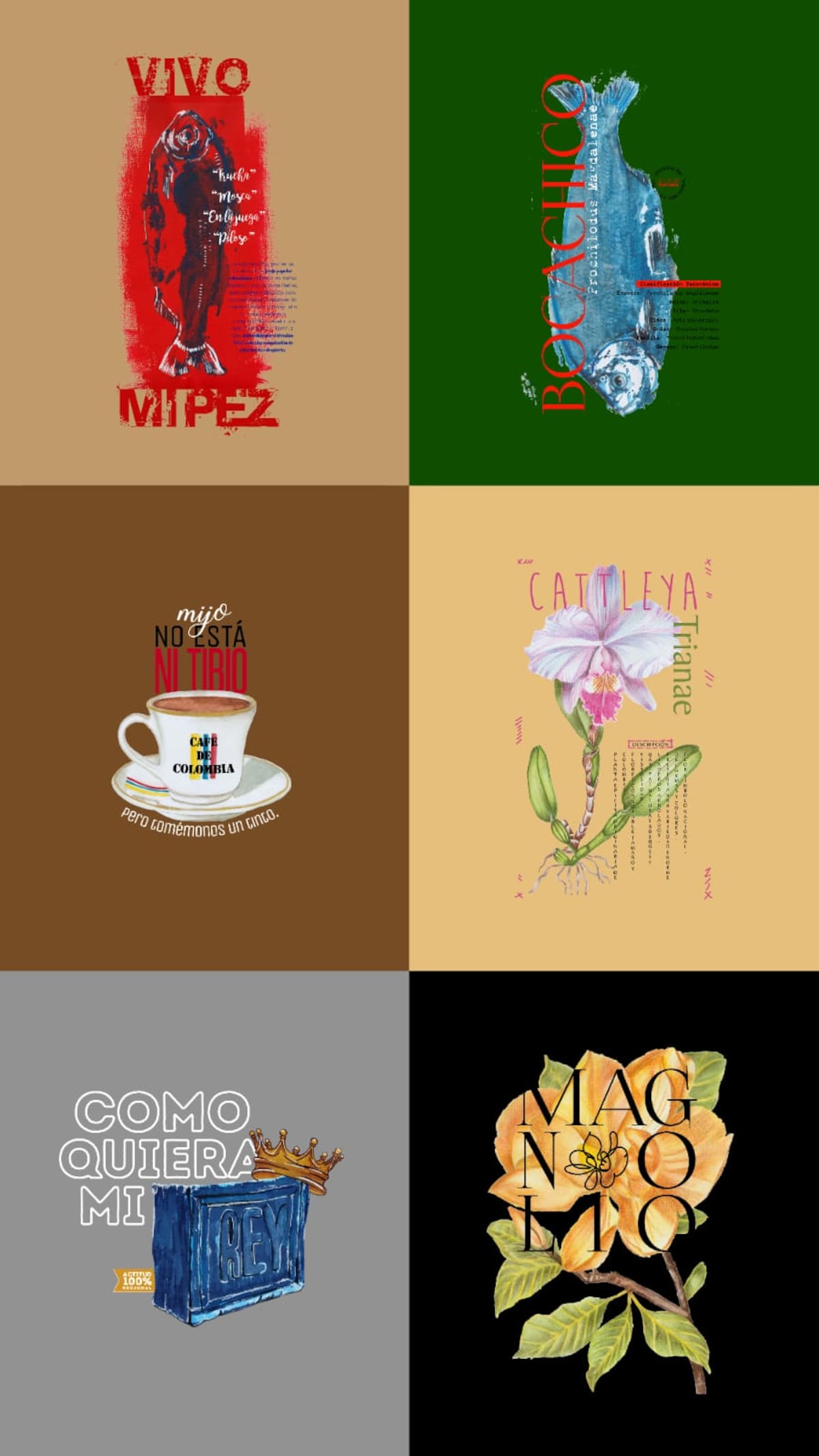 Gladys Jaimes presenta Colombia es una chimba, una colección en la que reúne ilustraciones inspiradas en la fauna, la flora, los objetos cotidianos y la jerga popular del país para convertir la memoria colombiana en arte que también puede llevarse puesto. Foto suministrada/VANGUARDIA