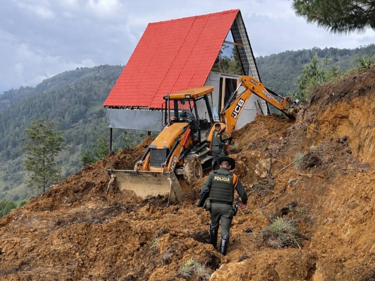 Tras proceso adelantado por la Alcaldía de Medellín, propietario desmontó glamping ilegal en Santa Elena. Foto: Alcaldía de Medellín