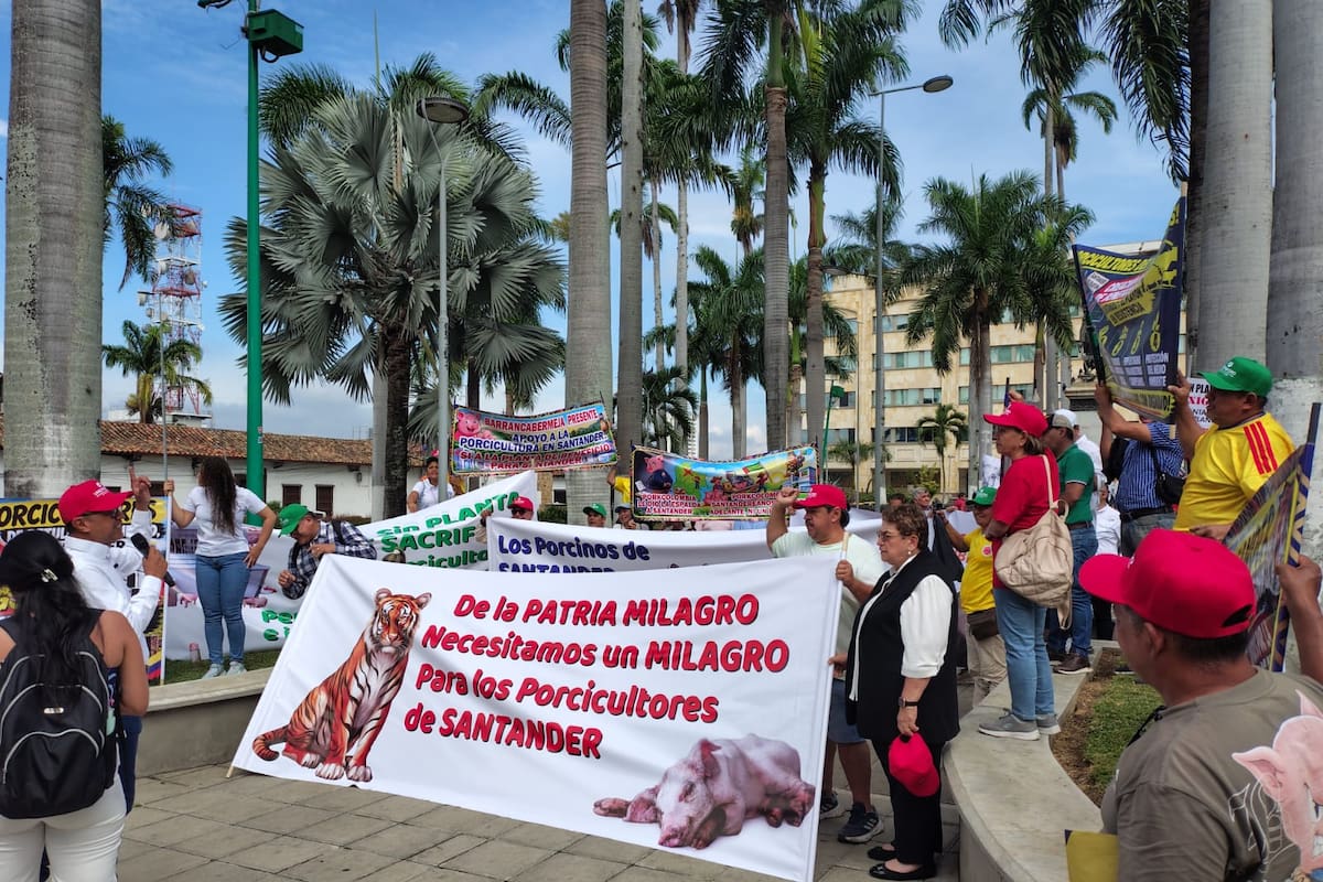 En próximos días líderes del gremio serán convocados por la administración departamental, con el fin de llevar a cabo mesas de trabajo. Los planteamientos que surjan posteriormente serán expuestos ante el Ministerio de Agricultura. (Foto: José Luis Pineda Arenas / VANGUARDIA)