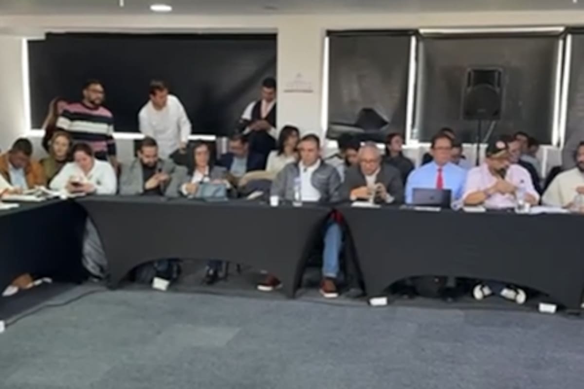 El gobernador de Santander participó en la mesa nacional de diálogos que serealizó en Bogotá entre líderes del paro campesino y delegados del Gobierno.