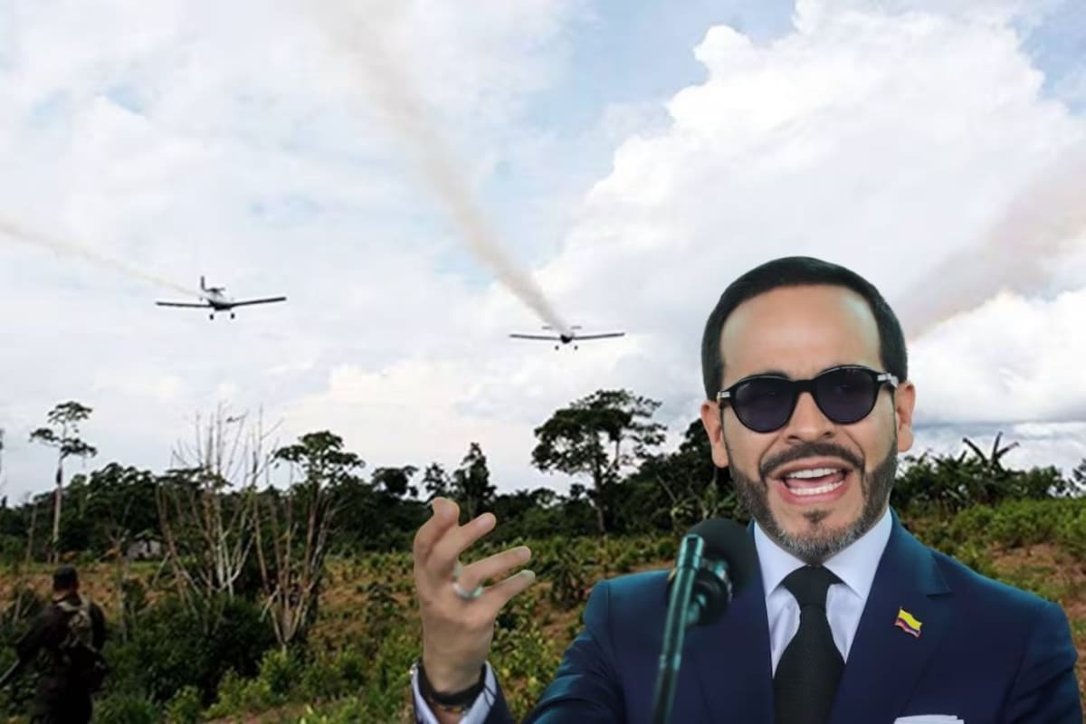 Gobierno De la Espriella tiene en la mira erradicación de 330.000 hectáreas de coca: así es el plan. | Foto: Vanguardia