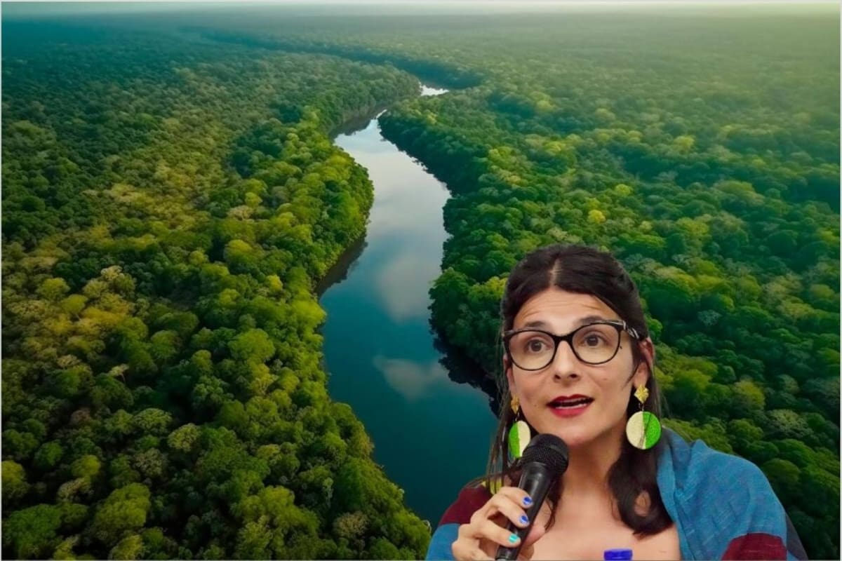 Gobierno revoca protección de la Amazonía y desata polémica entre Arjona e Irene Vélez. | Foto: Vanguardia.