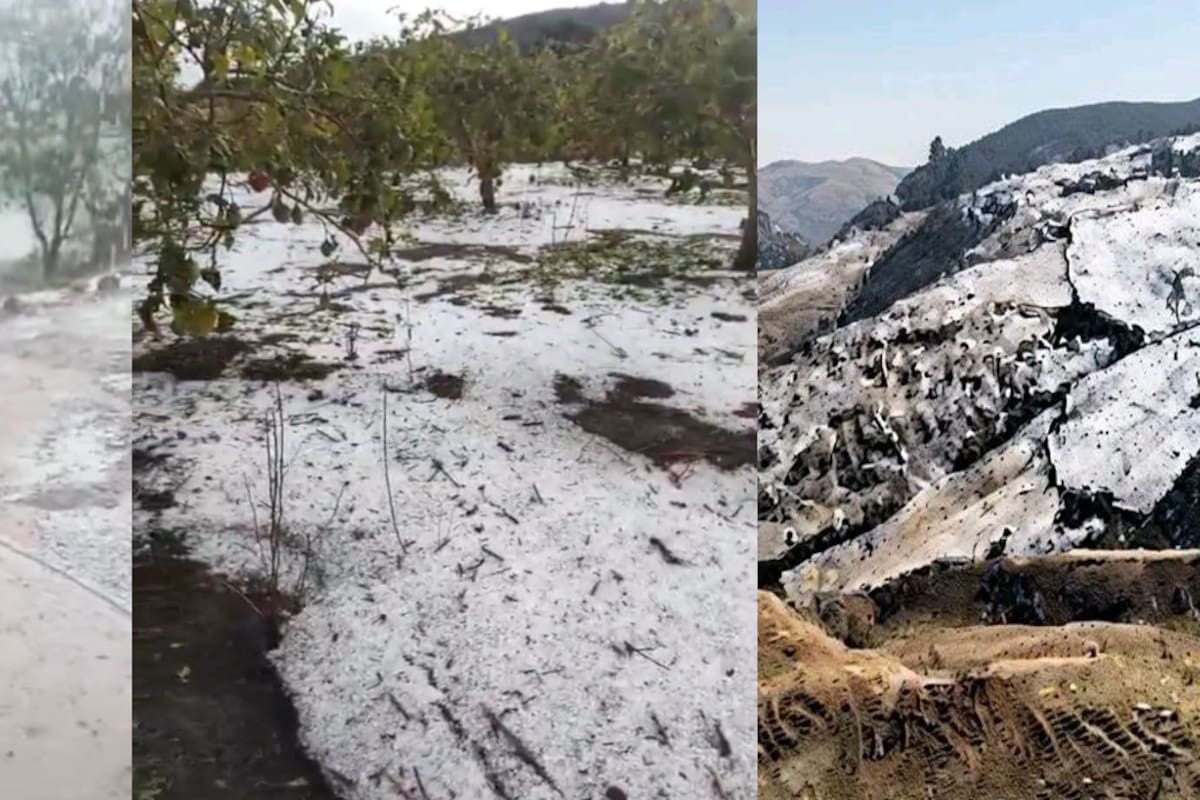 Fuerte granizada cubrió de blanco varias zonas rurales de Guaca, Santander.
Foto: captura de video.