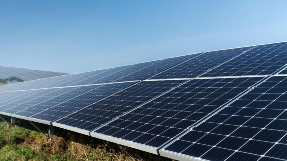 Granjas solares en Barrancabermeja: $28.004 millones adjudicados a ‘Bachiller’ para obra sin conexión | Foto Freepik - Ilustración