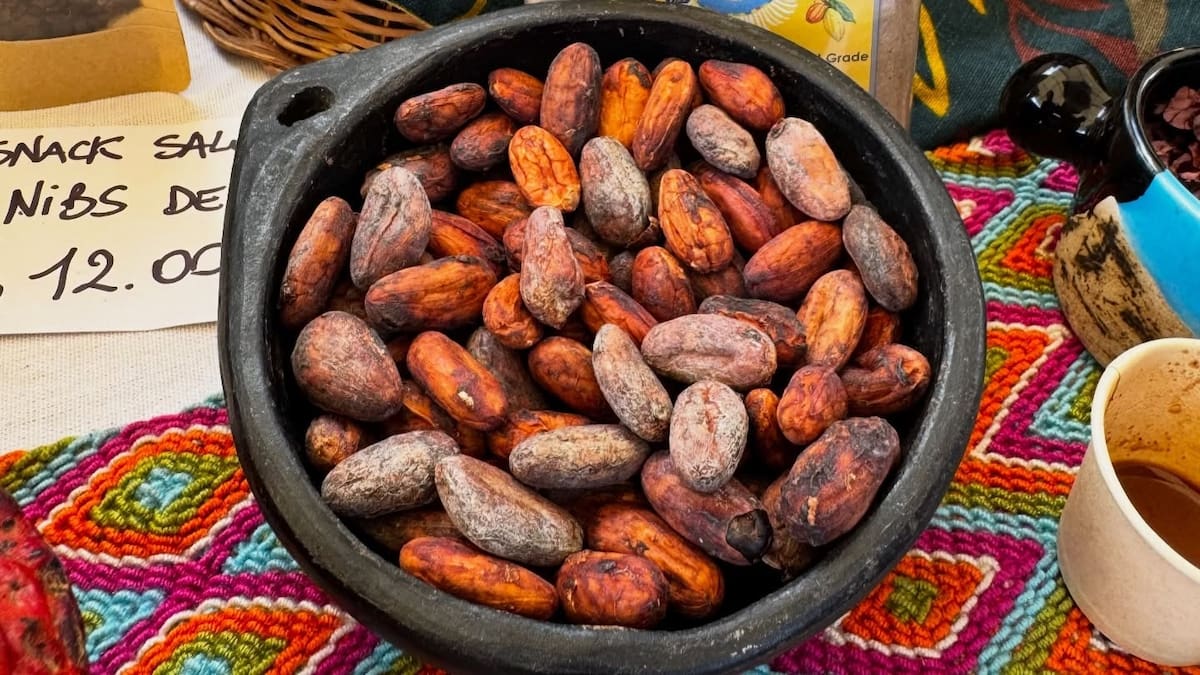 Suministrada CCB /VANGUARDIA