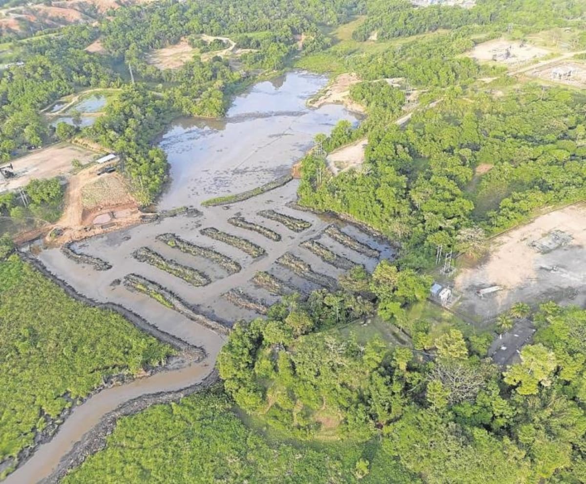 Décadas de actividad petrolera dejaron una deuda ambiental que hoy sigue emergiendo desde el fondo de la Ciénaga El Llanito. Pescadores de Barrancabermeja denuncian la presencia de hidrocarburos en el agua y advierten que la recuperación ambiental avanza mientras el riesgo de contaminación sigue afectando su sustento.