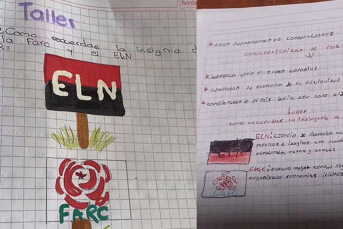 El Instituto Técnico María Inmaculada de Villa del Rosario inició una revisión interna por una tarea que pedía dibujar insignias del ELN y las Farc. Foto: captura de pantalla TikTok