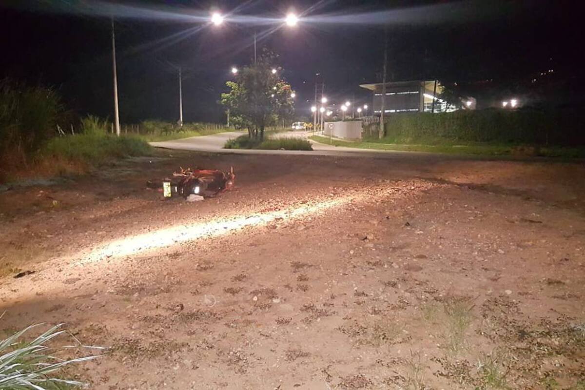 La Seccional de Tránsito y Transporte de la Policía Metropolitana de Bucaramanga dio apertura a una investigación para esclarecer este accidente. (Foto: Suministrada/VANGUARDIA LIBERAL)