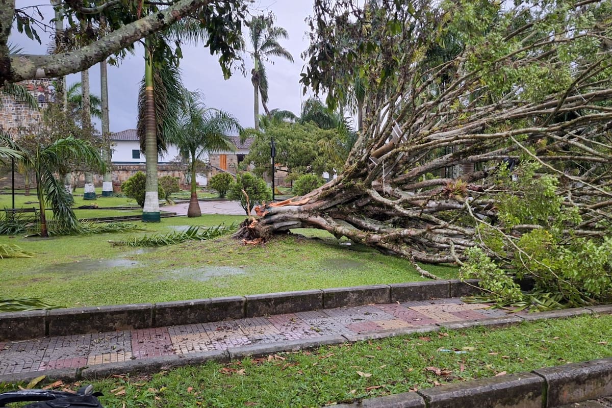 Serios daños dejó una tormenta en Guadalupe en la tarde del 23 de julio.