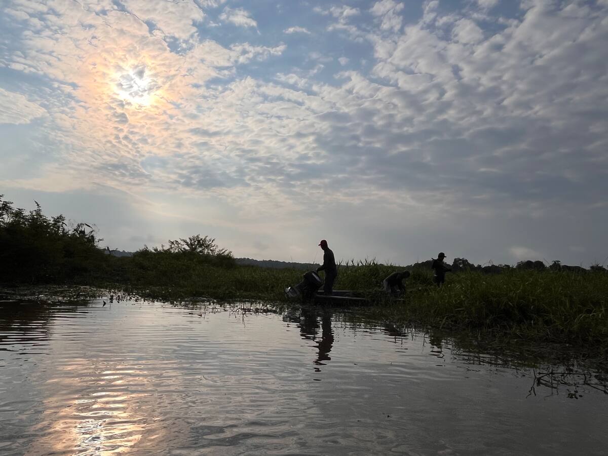 Ciénaga El Llanito, uno de los cuerpos hídricos donde transita y vive el manatí antillano (Fotos de Lesly Cifuentes / VANGUARDIA).