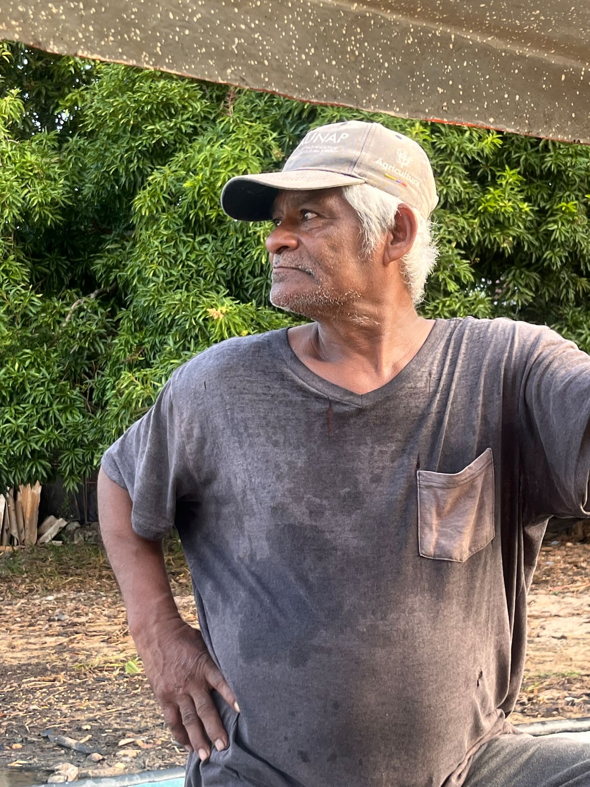 Los pescadores de Asoberanía llegan cada dos días a la Ciénaga El Llanito para recolectar alimento y ubicarlo en los 13 puntos críticos ubicados en el cuerpo de agua (Fotos de Lesly Cifuentes / VANGUARDIA).