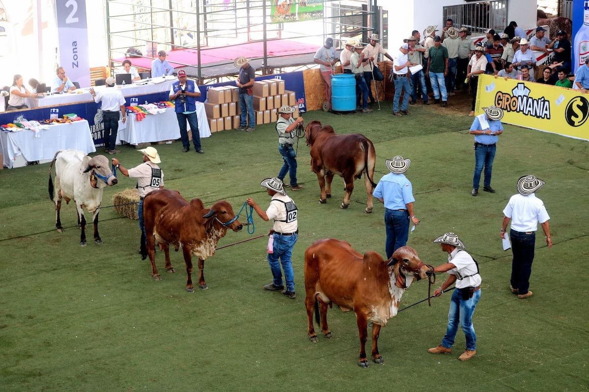 ARCHIVO VANGUARDIA - Feria Ganadera 2019 Cenfer