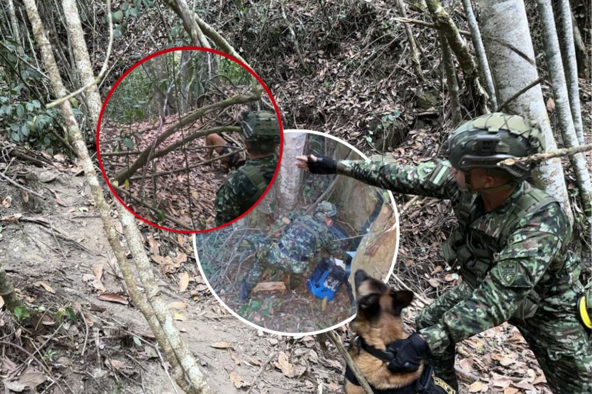 El Ejército halló 250 kilos de explosivo R1 en un depósito ilegal ubicado cerca de una institución educativa en Charta, Santander. Fotos suministradas.