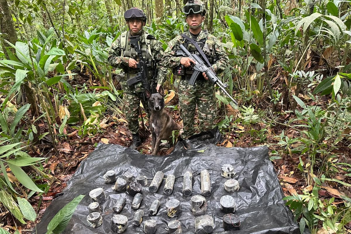 Los 26 artefactos explosivos fueron encontrados en la vereda Alto Purare, en Tame, Arauca, y destruidos de manera controlada por tropas del Ejército. Foto de // Colprensa.