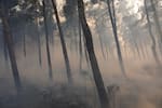 Hallan niño calcinado en incendio en el norte de Grecia; es la segunda víctima mortal