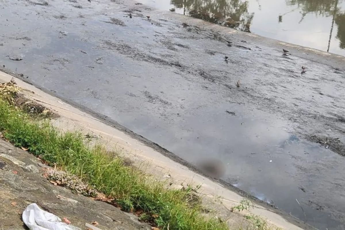 El hecho se dio a conocer inicialmente a través de un video aficionado grabado por un ciudadano y difundido en redes sociales, el cual reportó el avistamiento de un brazo humano. | Foto: Q' Hubo.