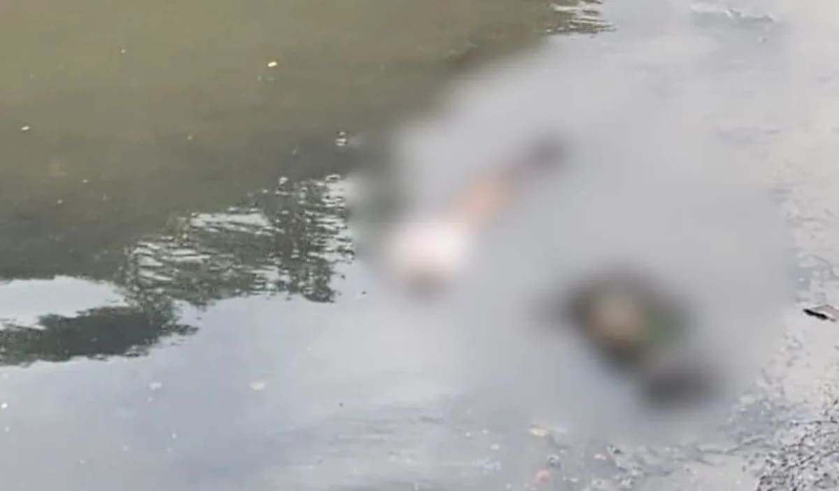 El hecho se dio a conocer inicialmente a través de un video aficionado grabado por un ciudadano y difundido en redes sociales, el cual reportó el avistamiento de un brazo humano. | Foto: Q' Hubo.
