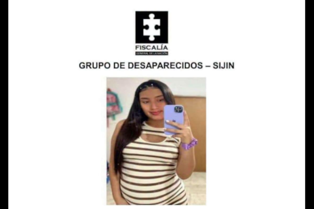 Hallan sin vida a María Camila Potosí embarazada de ocho meses tras desaparecer en Cali. | Foto: Cartel de la Fiscalía