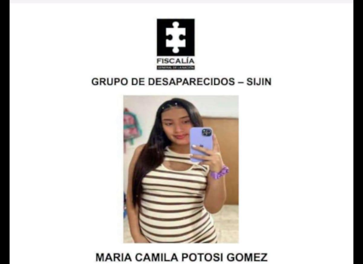 Hallan sin vida a María Camila Potosí embarazada de ocho meses tras desaparecer en Cali. | Foto: Cartel de la Fiscalía